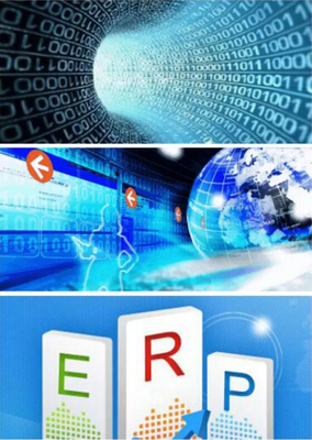 信息管理与信息技术开发——张永进教授谈专业发展与实践